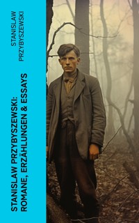 Stanislaw Przybyszewski: Romane, Erzählungen & Essays - Stanislaw Przybyszewski - E-Book