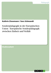 Sonderpädagogik in der Europäischen Union - Europäische Sonderpädagogik zwischen Einheit und Vielfalt - Kathrin Ziesemann - E-Book