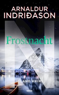 Frostnacht - Arnaldur Indriðason - E-Book