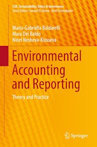 Environmental Accounting and Reporting - Maria-Gabriella Baldarelli - E-Book