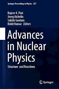 Advances in Nuclear Physics - - E-Book