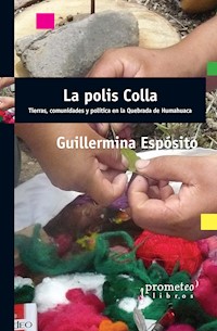 La polis Colla - Guillermina Espósito - E-Book