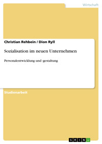 Sozialisation im neuen Unternehmen - Christian Rehbein - E-Book