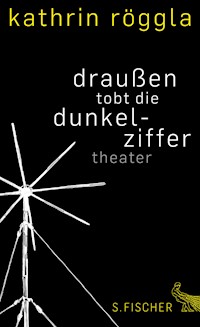 draußen tobt die dunkelziffer - Kathrin Röggla - E-Book