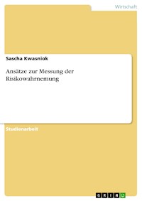Ansätze zur Messung der Risikowahrnemung - Sascha Kwasniok - E-Book