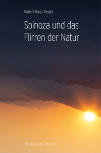 Spinoza und das Flirren der Natur - Robert Hugo Ziegler - E-Book
