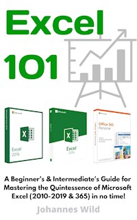Excel 101 - Johannes Wild - E-Book