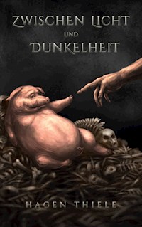 Zwischen Licht und Dunkelheit - Hagen Thiele - E-Book