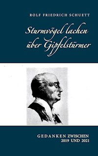 Sturmvögel lachen über Gipfelstürmer - Rolf Friedrich Schuett - E-Book
