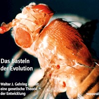 Das Basteln der Evolution - Walter J. Gehring - Hörbuch