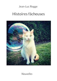 Histoires fâcheuses - Jean-Luc Rogge - E-Book