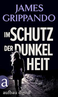 Im Schutz der Dunkelheit - James Grippando - E-Book