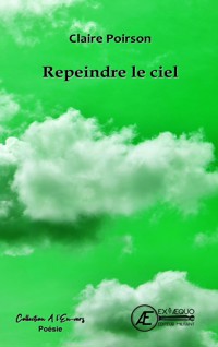 Repeindre le ciel - Claire Poirson - E-Book