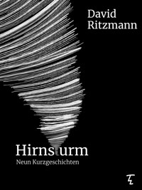 Hirnsturm - David Ritzmann - E-Book