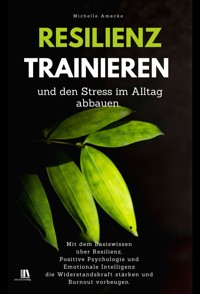 Resilienz trainieren und den Stress im Alltag abbauen - Michelle Amecke - E-Book