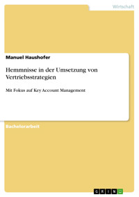Hemmnisse in der Umsetzung von Vertriebsstrategien - Manuel Haushofer - E-Book