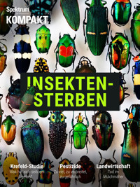 Spektrum Kompakt - Insektensterben - Spektrum der Wissenschaft - E-Book