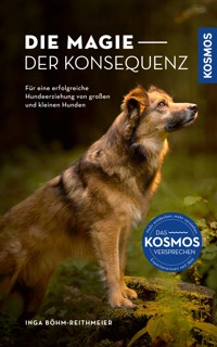 Die Magie der Konsequenz - Inga Böhm-Reithmeier - E-Book