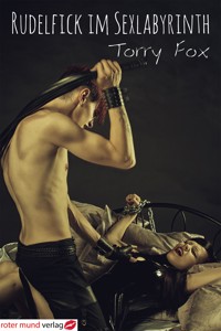 Rudelfick im Sexlabyrinth - Torry Fox - E-Book