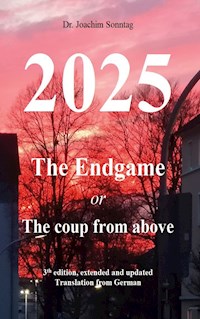 2025 - The endgame - Sonntag Joachim - E-Book