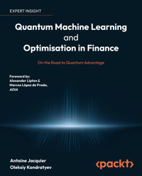 Quantum Machine Learning and Optimisation in Finance - Antoine Jacquier - E-Book