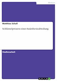 Schlüsselprozess einer Anästhesieabteilung - Matthias Schall - E-Book