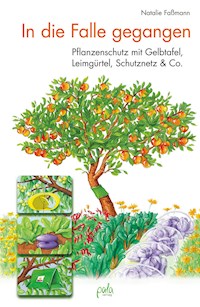 In die Falle gegangen - Natalie Faßmann - E-Book