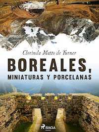 Boreales, miniaturas y porcelanas - Clorinda Matto de Turner - E-Book