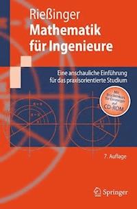 Mathematik für Ingenieure - Thomas Rießinger - E-Book
