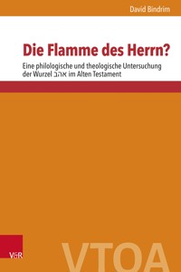 Die Flamme des Herrn? - David Bindrim - E-Book