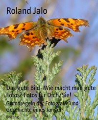 Das gute Bild- Wie macht man gute Fotos? Fotos für Dich/Sie! - Roland Jalo - E-Book