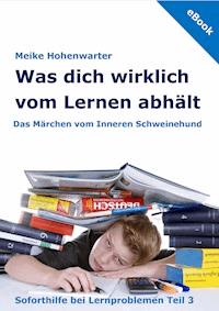 Was dich wirklich vom Lernen abhält - Meike Hohenwarter - E-Book