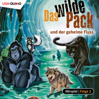 Das wilde Pack, Folge 3: Das wilde Pack und der geheime Fluss - André Marx - Hörbuch