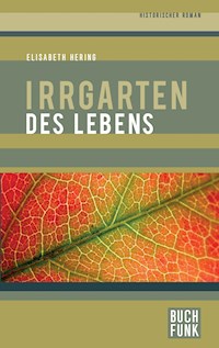 Irrgarten des Lebens - Elisabeth Hering - E-Book