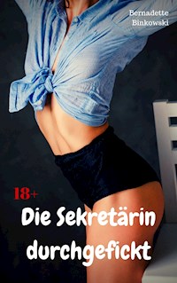 Die Sekretärin durchgefickt - Bernadette Binkowski - E-Book
