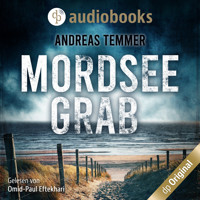 Mordseegrab (Ungekürzt) - Andreas Temmer - Hörbuch