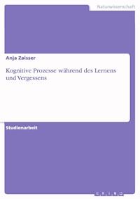 Kognitive Prozesse während des Lernens und Vergessens - Anja Zaisser - E-Book