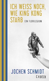 Ich weiß noch, wie King Kong starb - Jochen Schmidt - E-Book