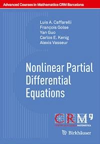 Nonlinear Partial Differential Equations - Luis Angel Caffarelli - E-Book