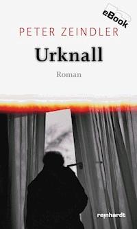 Urknall - Peter Zeindler - E-Book