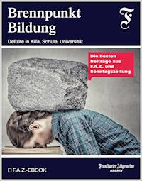 Brennpunkt Bildung - Frankfurter Allgemeine Archiv - E-Book