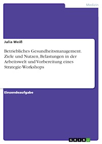 Betriebliches Gesundheitsmanagement. Ziele und Nutzen, Belastungen in der Arbeitswelt und Vorbereitung eines Strategie-Workshops - Julia Weiß - E-Book