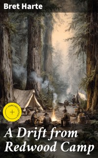 A Drift from Redwood Camp - Bret Harte - E-Book