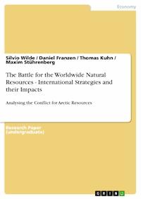 The Battle for the Worldwide Natural Resources - International Strategies and their Impacts - Silvio Wilde - E-Book