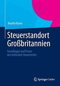 Steuerstandort Großbritannien - Beatrix Kania - E-Book