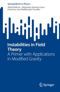 Instabilities in Field Theory - Adrià Delhom - E-Book