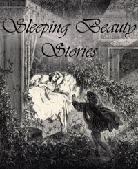 Sleeping Beauty Stories - Andrew Lang - E-Book