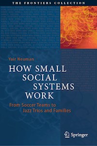 How Small Social Systems Work - Yair Neuman - E-Book