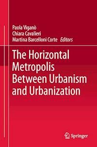 The Horizontal Metropolis Between Urbanism and Urbanization - - E-Book