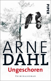 Ungeschoren - Arne Dahl - E-Book